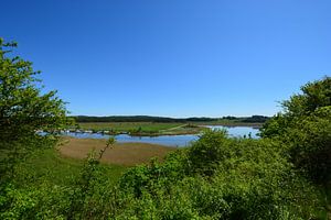 Hafen Moritzdorf - Moritzburg - Baabe Bollwerk