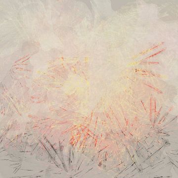 Abstract textures by Dina Dankers