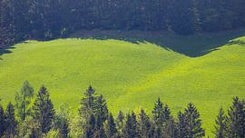 Landschaft in den Alpen von Bo Valentino