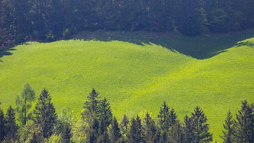 Landschap in de Alpen