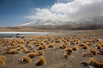 Lake Canapa, Atacama Desert, Bolivia