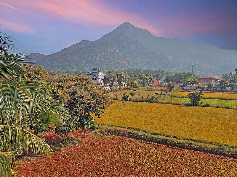 The sacred mountain Arunachala in Tamil Nadu in India by Eye on You