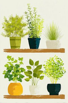 Kräuter auf einem Regal von Vlindertuin-Art