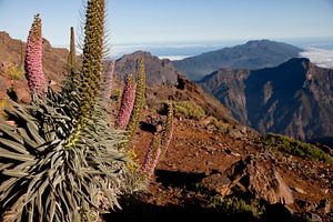 La Palma, Kanarische Inseln
