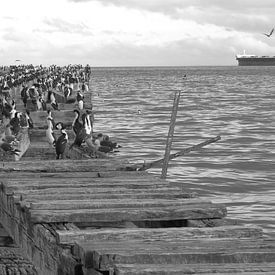 Alte Landungsbrücke in Punta Arenas by Heike und Hagen Engelmann