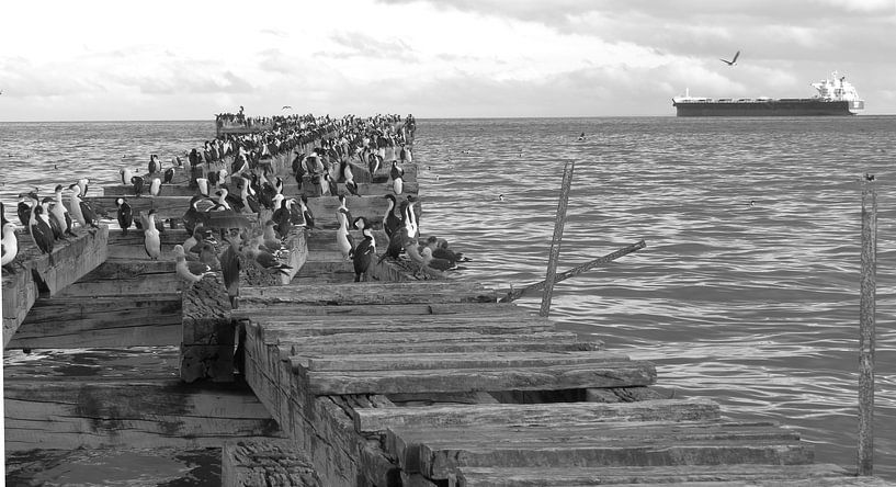 Alte Landungsbrücke in Punta Arenas von Heike und Hagen Engelmann