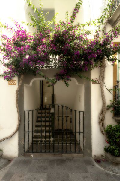Puerto de Mogan by Humphry Jacobs