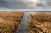 Zuidlaardermeer - Noordlaren (Netherlands) by Marcel Kerdijk thumbnail