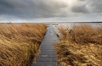 Zuidlaardermeer - Noordlaren (Nederland) van Marcel Kerdijk