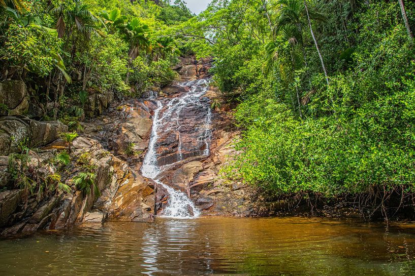 Waterval op het eiland Mahé van de Seychellen van Reiner Conrad