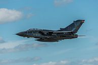 Duitse Panavia Tornado ECR met bijzondere livery. van Jaap van den Berg thumbnail