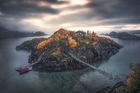 Senja