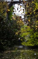 Paris - Détail d'un parc