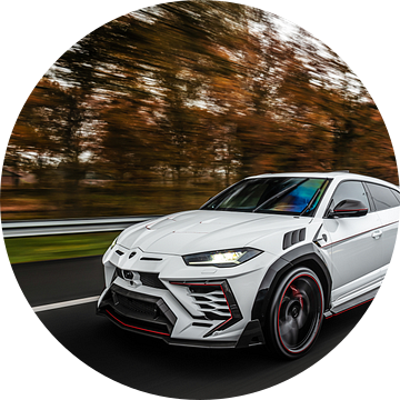 Lamborghini Urus Mansory Venatus van Bas Fransen