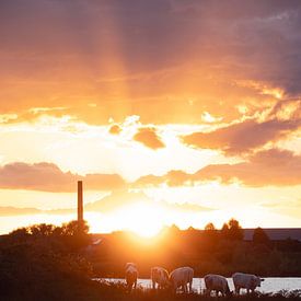 Nederland op zijn best van Eline Huizenga