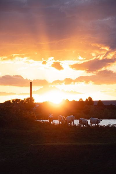 The Netherlands at its best by Eline Huizenga