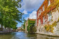 Boottocht in Brugge