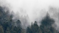 Mist in de bergen
