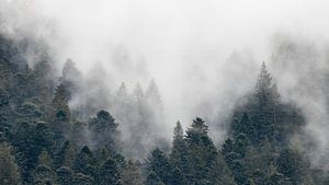 Nebel in den Bergen