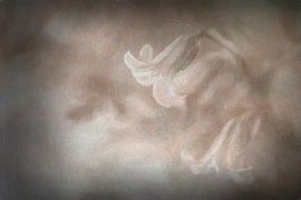 Romantischer Frühlingsblüher von Francis Dost