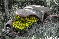 Oude Kever met bloemen von Lindi Hartman Miniaturansicht