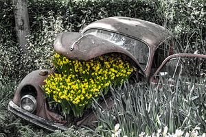 Old Beetle with flowers by Lindi Hartman