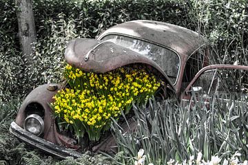Oude Kever met bloemen van Lindi Hartman