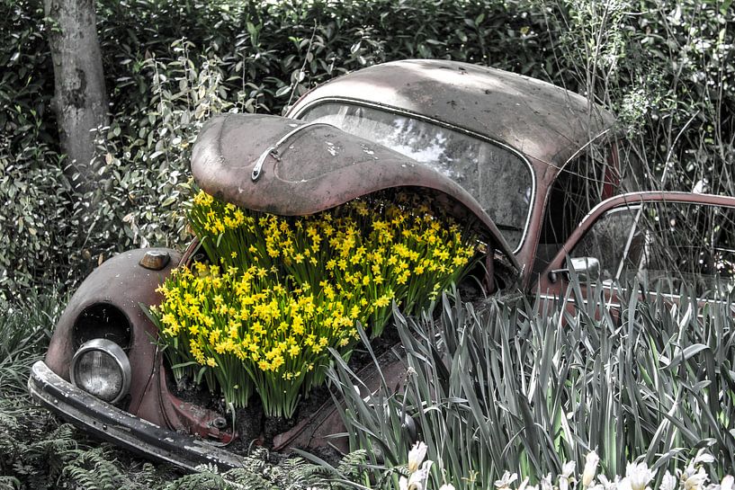 Oude Kever met bloemen von Lindi Hartman