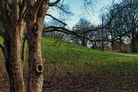 I wonder if anyone lives there now.