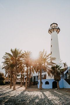 Lighthouse, palm trees and sunset on Gran Canaria