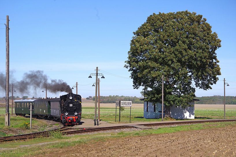 Train à Siersleben par Robert Stremming