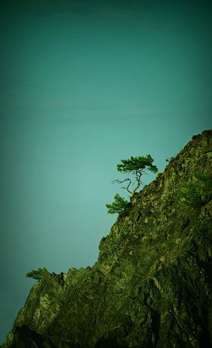 Tree in rock in front of turquoise sky