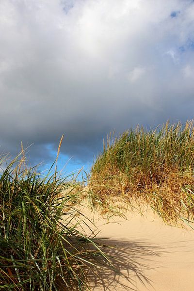 Schattenspiel in den Herbstdünen by Ostsee Bilder