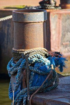 ropes on a rusted pile by Joost van Riel