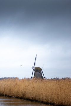 Kinderdijk by Sebastian Stef