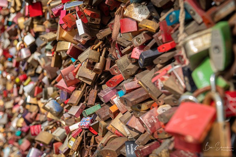 Padlocks 1 by Bas Schneider