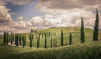 Tuscany by Dennis Van Donzel thumbnail