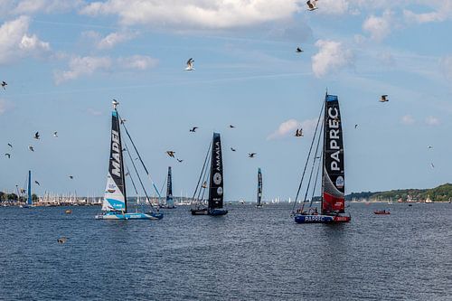 Faszination Segeln in Kiel – Ocean Race Europe 2025 hautnah!