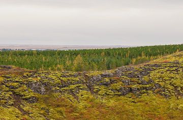 Kerið Krater IJsland van Marcel Kerdijk