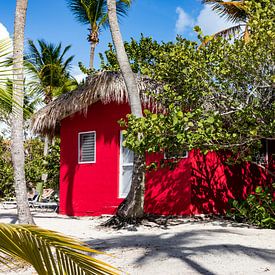 Île Catalina et maison rouge sur AidasignArt