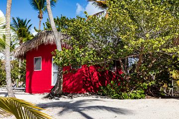 Catalina Island and red house by AidasignArt
