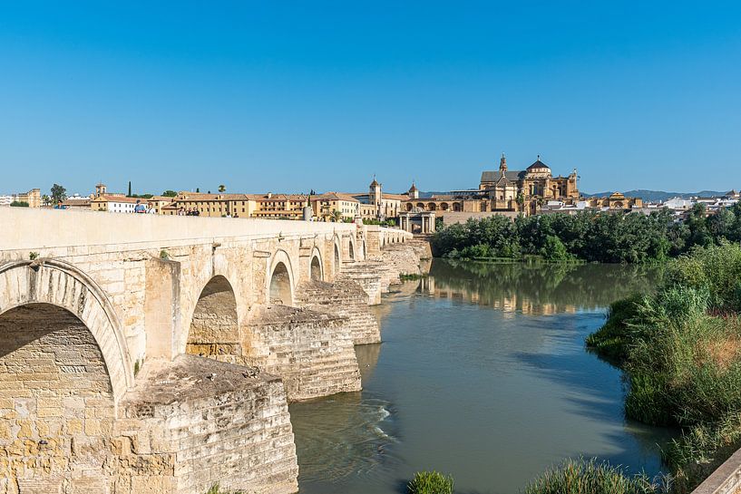 Sonniger Tag an der Mezquita und der römischen Brücke von Joke Van Eeghem