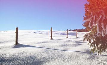 Winterlandschap van Bo Valentino