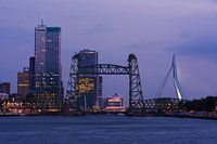 Die Hef- und Erasmusbrücke bei Nacht