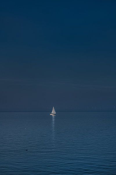 Sailboat on the IJsselmeer in the late october afternoon light by Harrie Muis