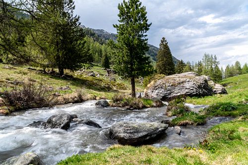 Bisse in kanton Wallis, Zwitserland