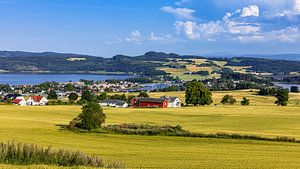 Landschaft am Trondheimfjord, Norwegen