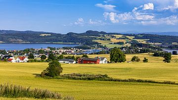 Landschap aan de Trondheimfjord, Noorwegen van Adelheid Smitt