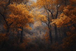 Romantischer Herbstwald