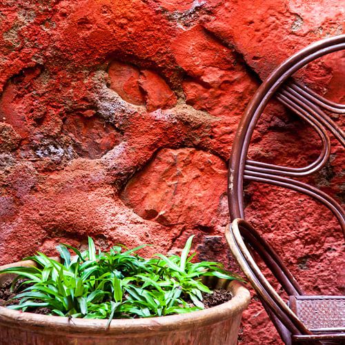 Colors of Marocco (12)